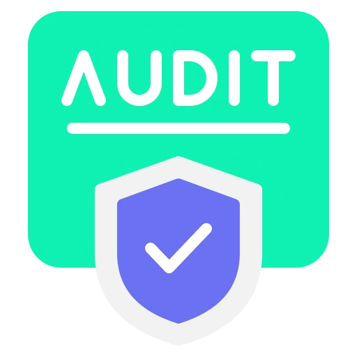 Audit Icon