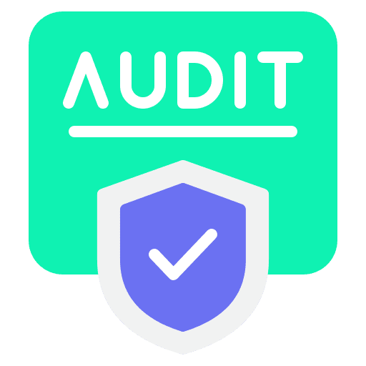 Audit Icon