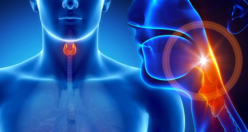 Endocrinology Medical Billing Services