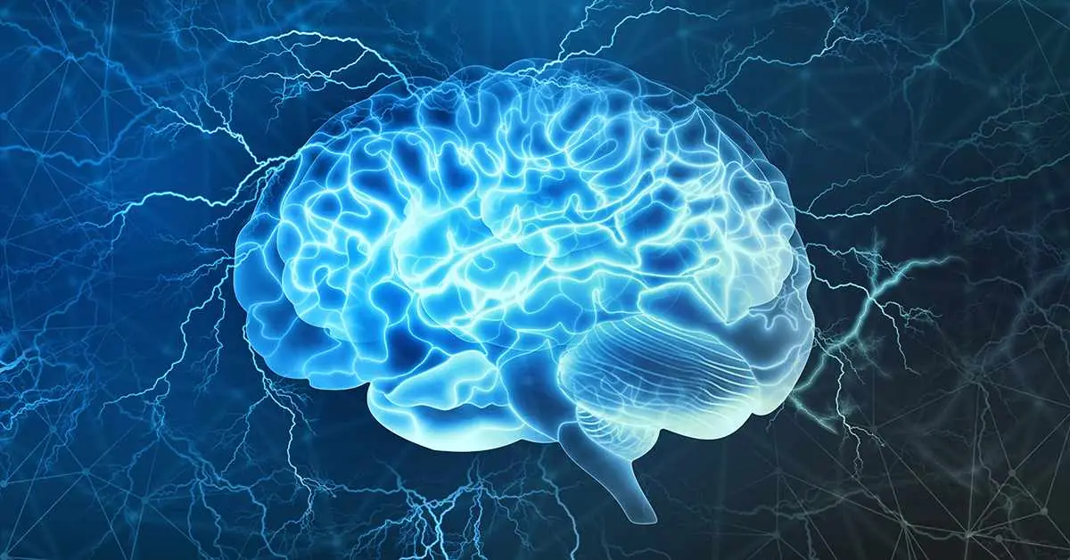 Neurology Medical Billing Services