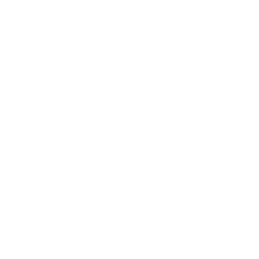 Consultation on EHR Adoption and Integration